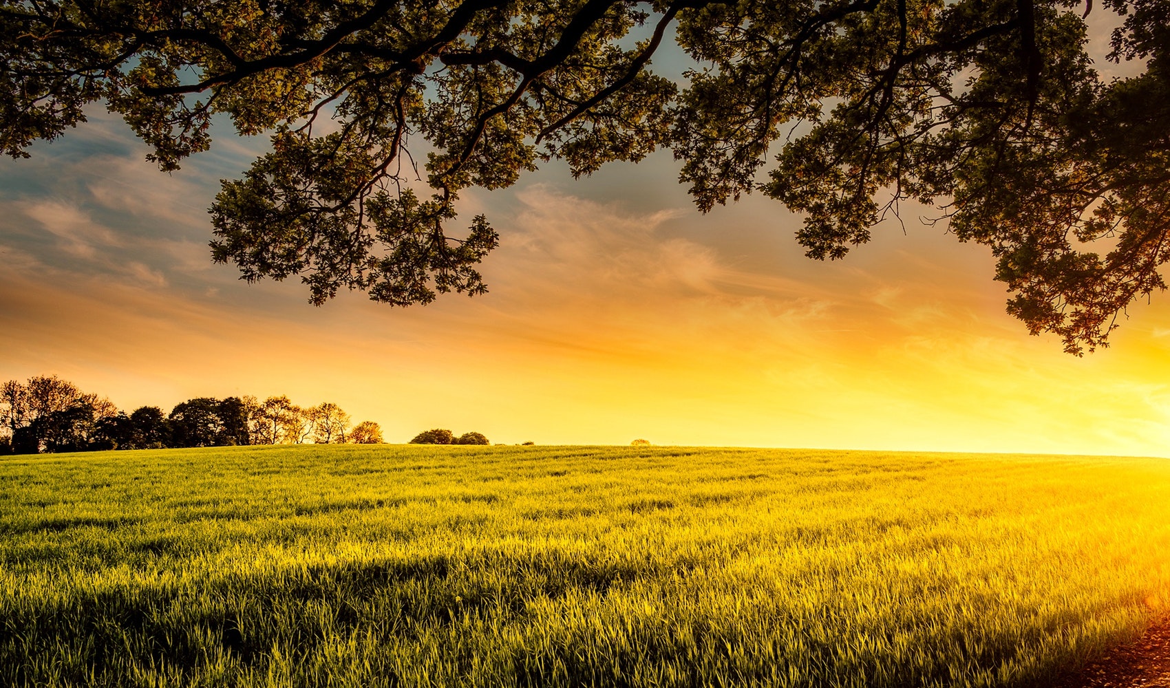 pexels-photo-461960 Vitall Natural Ferma