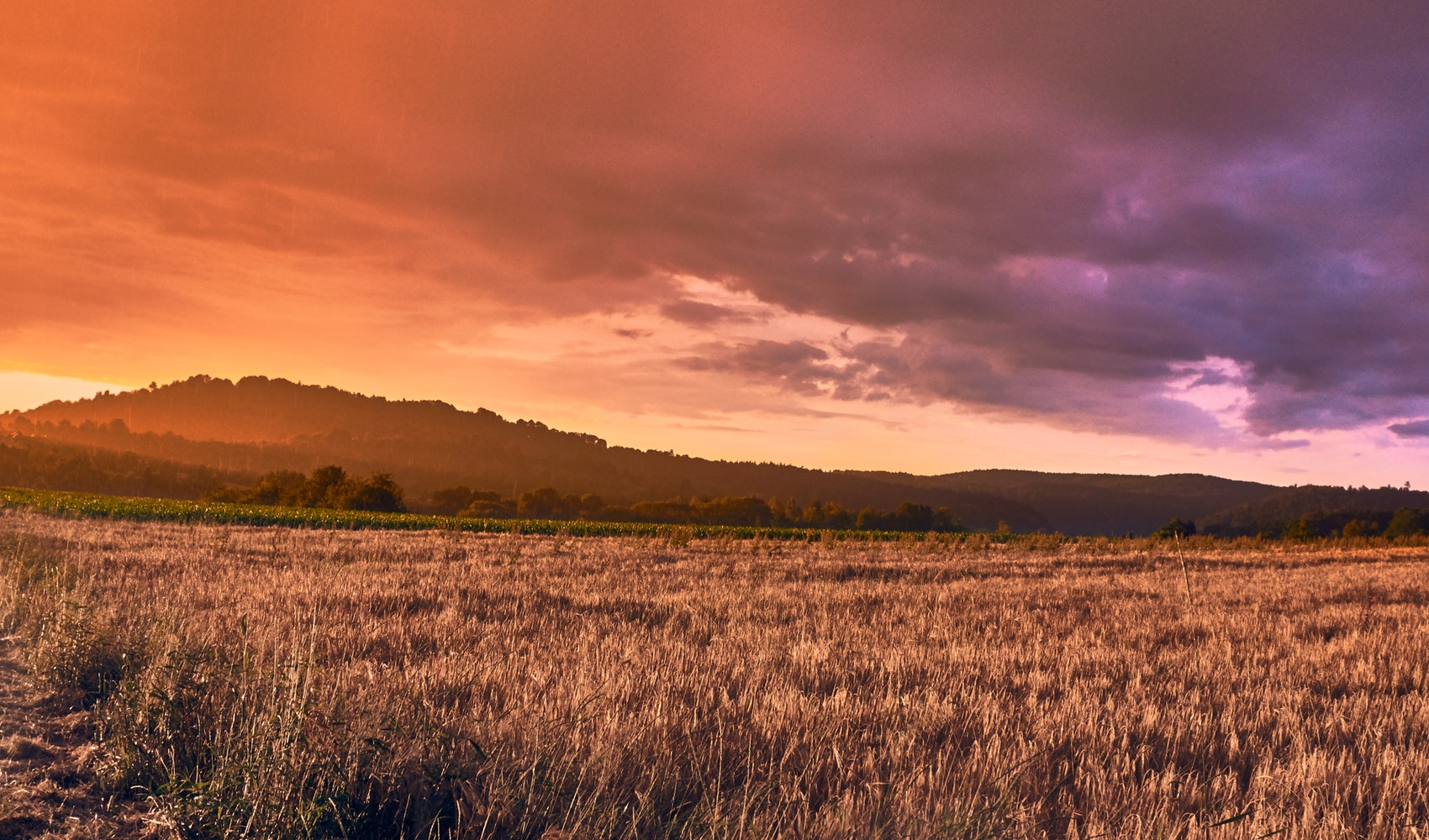 pexels-photo-612409 Vitall Natural Ferma